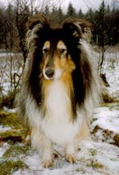 trixi11,5year-98.jpg