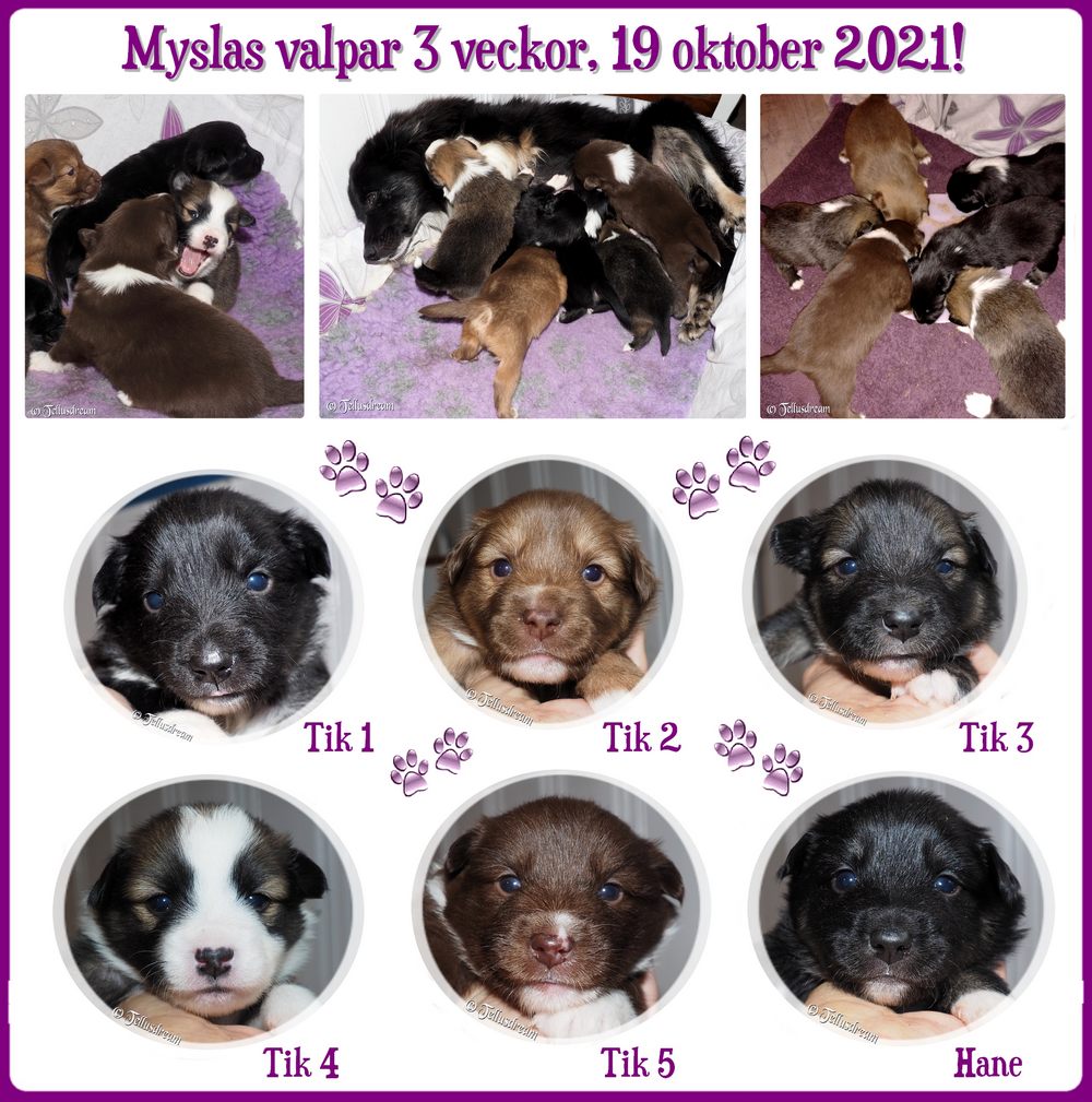 3v_mysla2021 3v_mysla2021