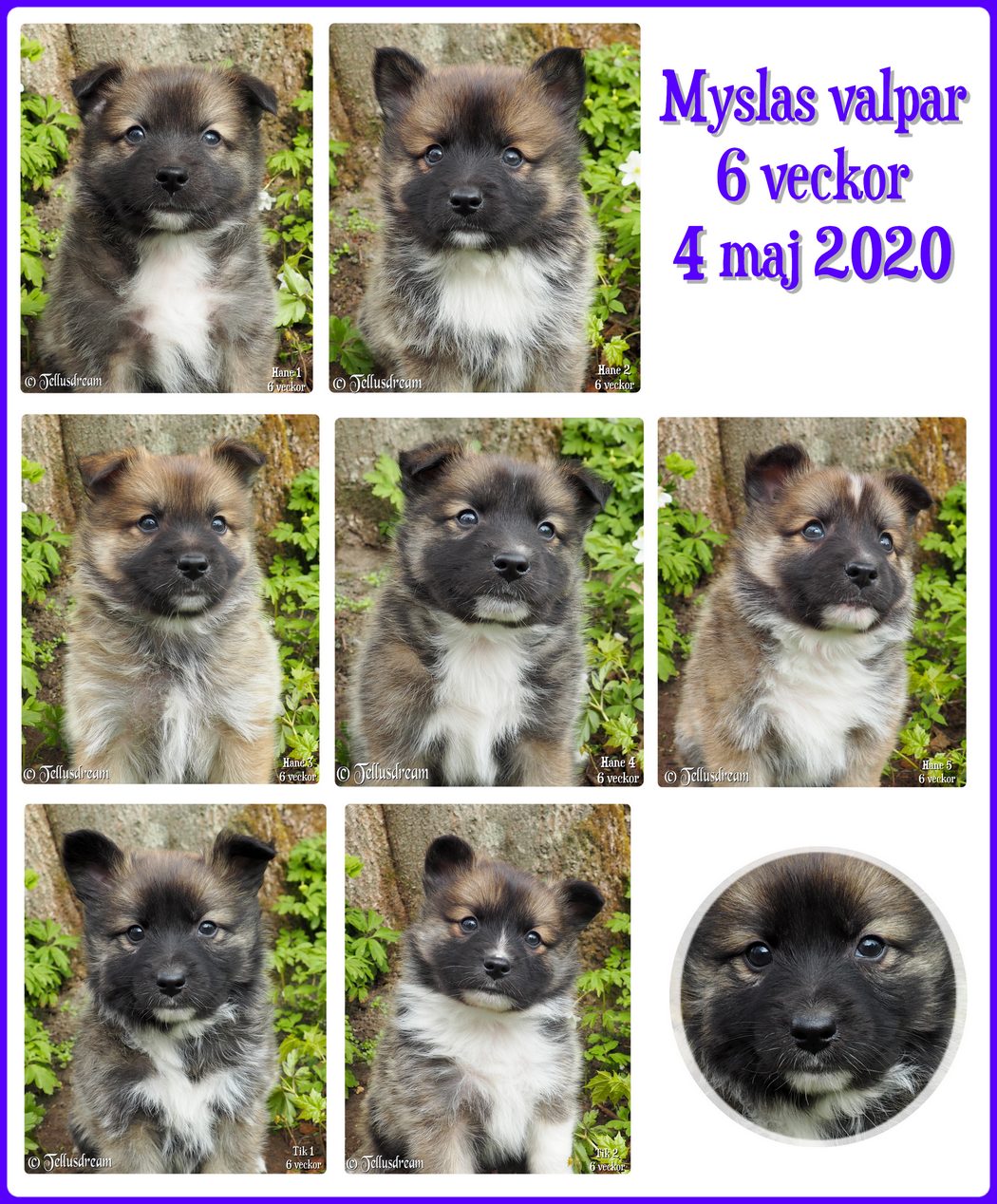 6v_mysla_2020_ 6v_mysla_2020_