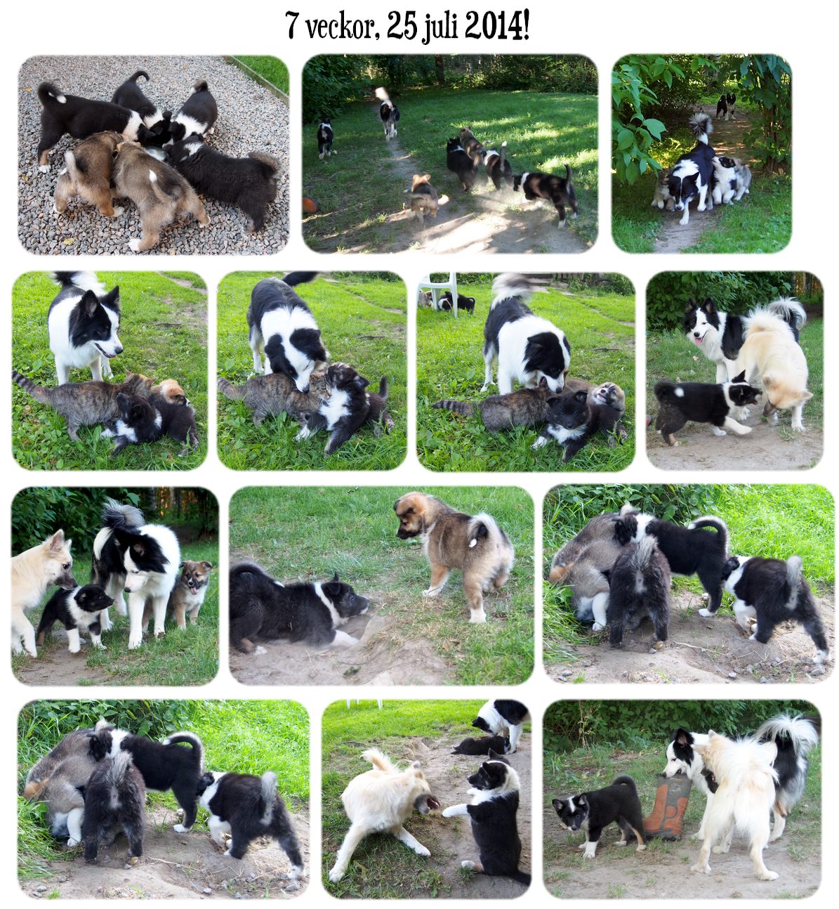 7vfoldavalpar2014_1