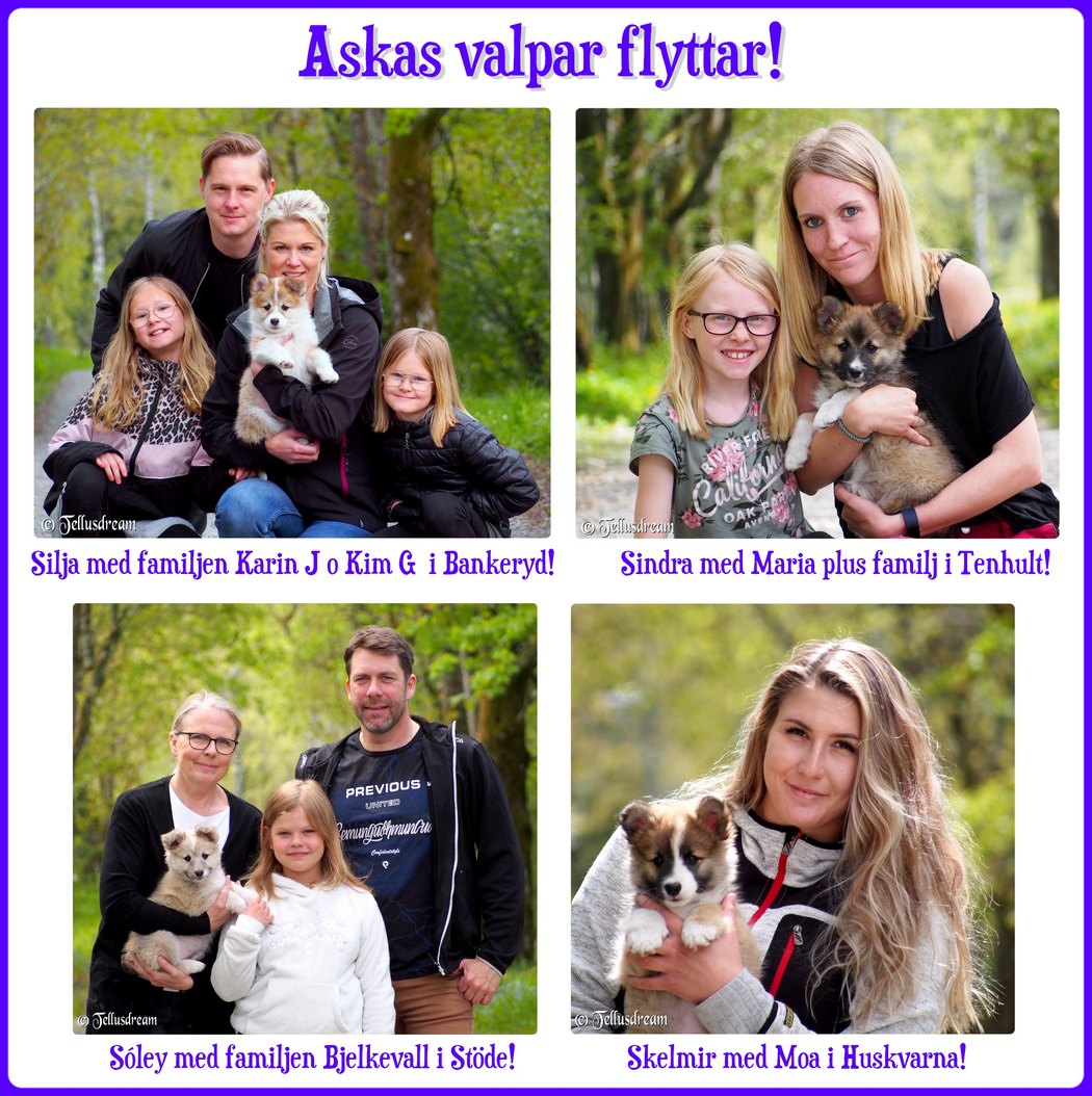 aska_flytt_ aska_flytt_