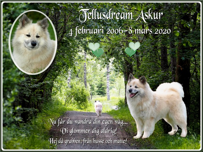 askur_minne_hemsida askur_minne_hemsida