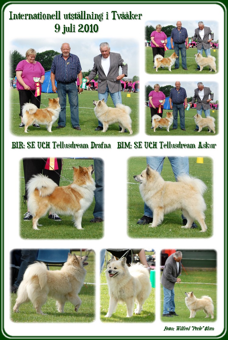 askurdrafnatvaaker100709 askurdrafnatvaaker100709