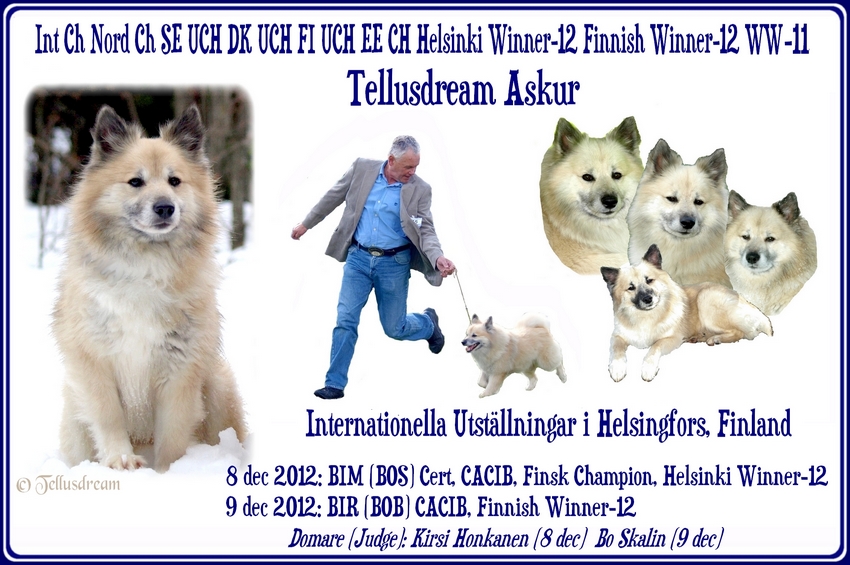 askurfinskchampiondec20121 askurfinskchampiondec20121