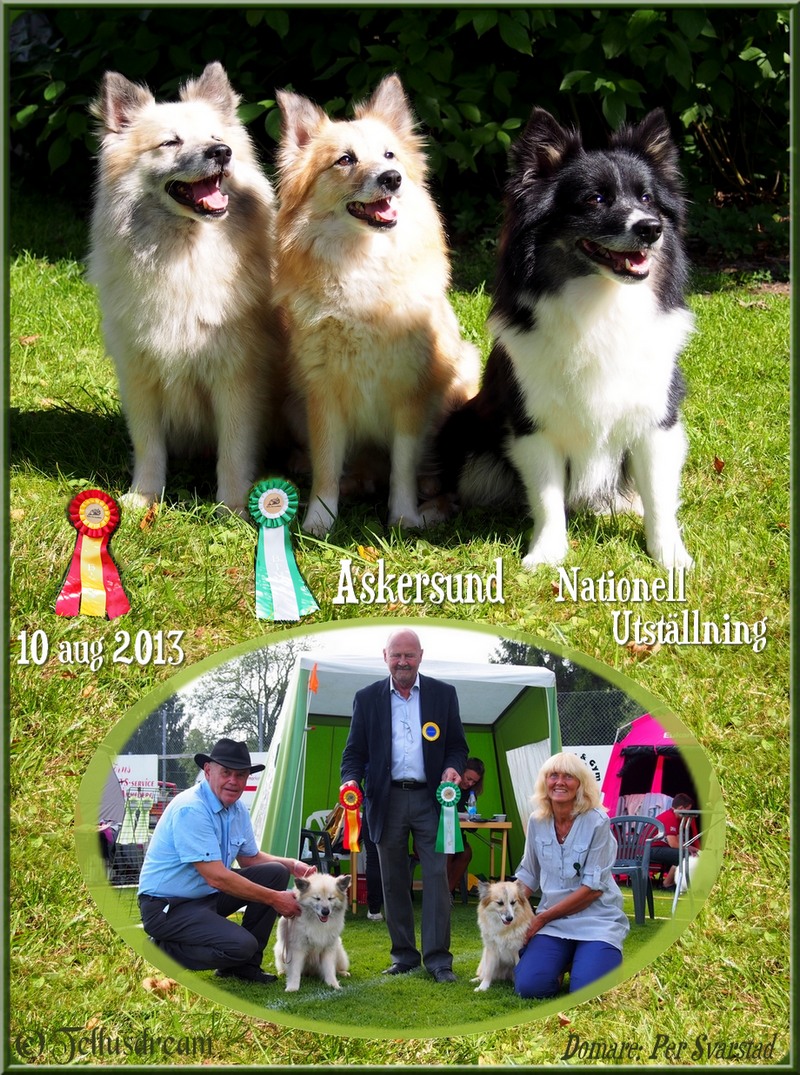 asund2013 asund2013