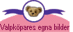 Valpk&ouml;pares egna bilder
