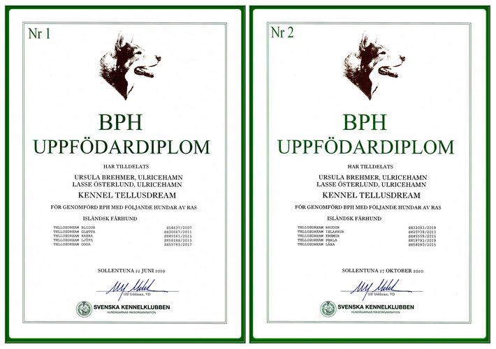 bph_diplom1_2