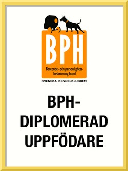 bph_uppfdiplom1 bph_uppfdiplom1