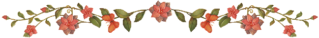 bvine bvine