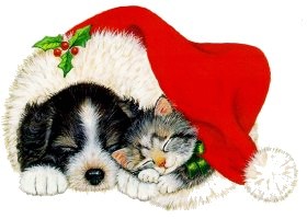 cat_dog_hat