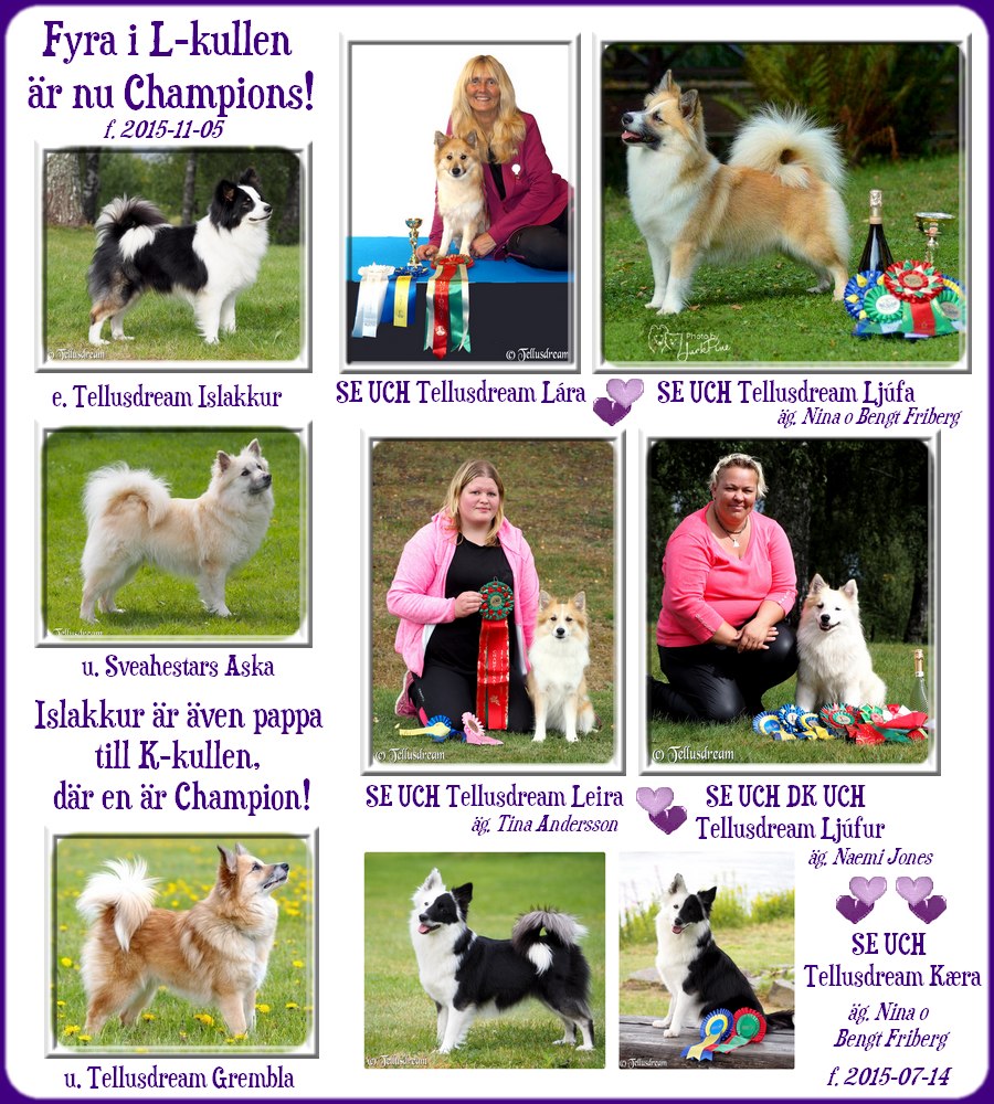 champions_islakkur_