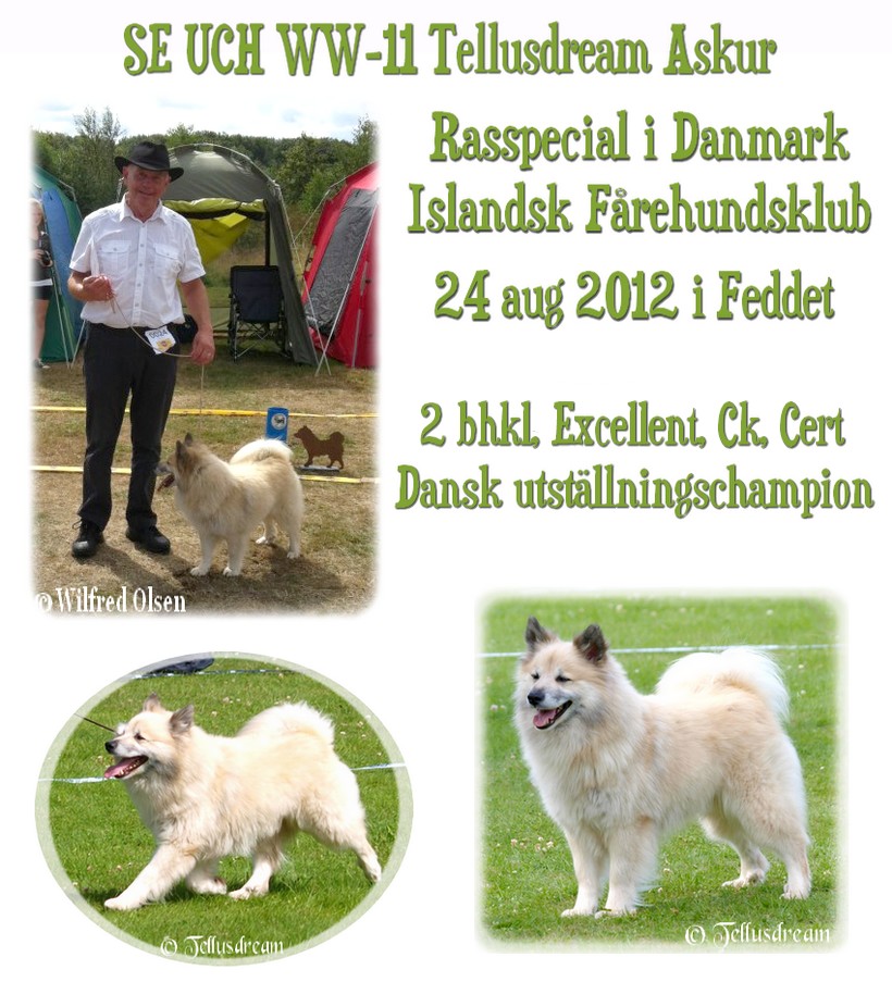 danmark24aug2012 danmark24aug2012