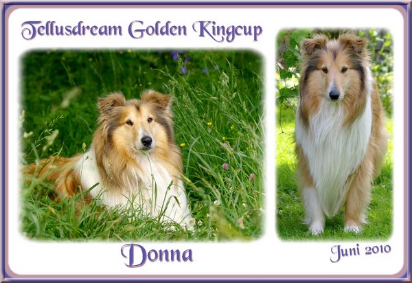 donnajuni20101