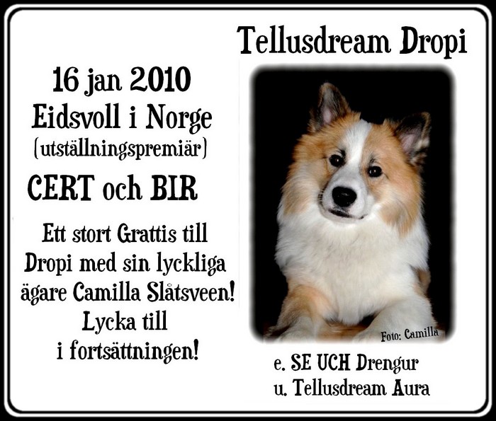 dropieidsvoll16jan2010 dropieidsvoll16jan2010