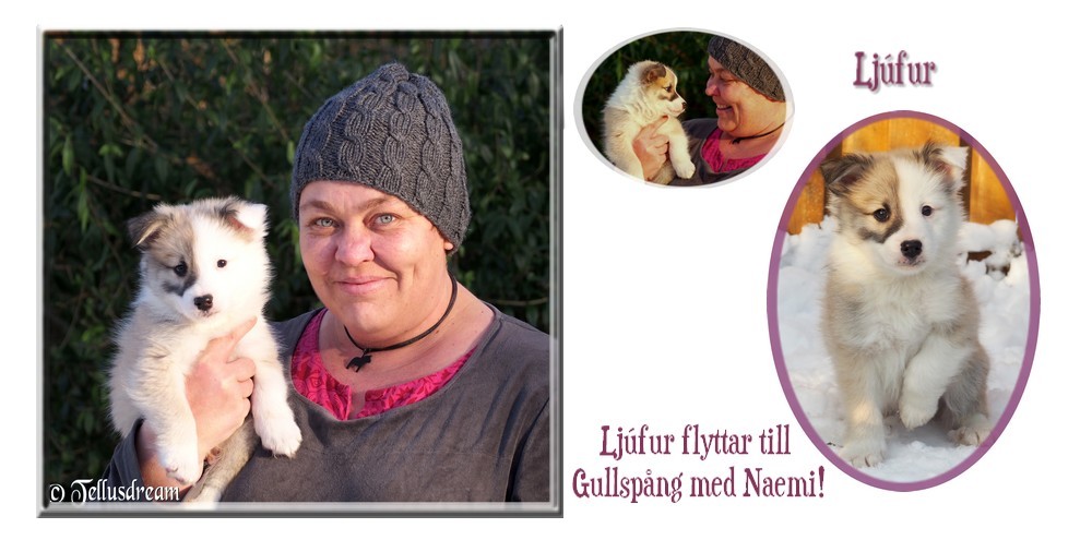 flyttljufur