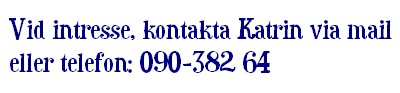 gaijakontakt