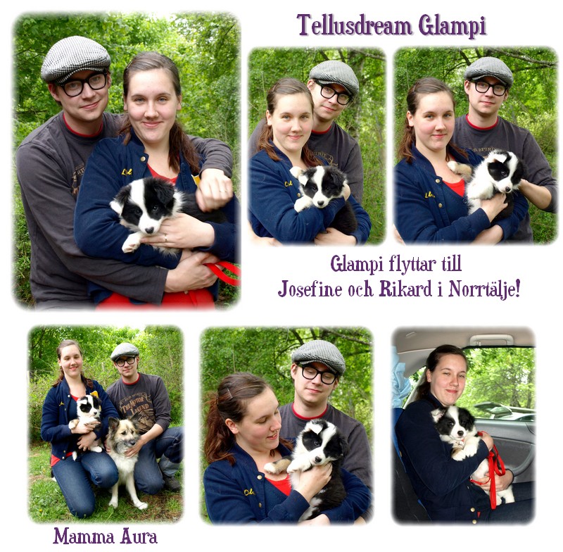 glampiflytt