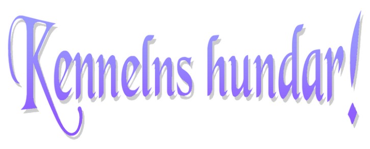 hundar