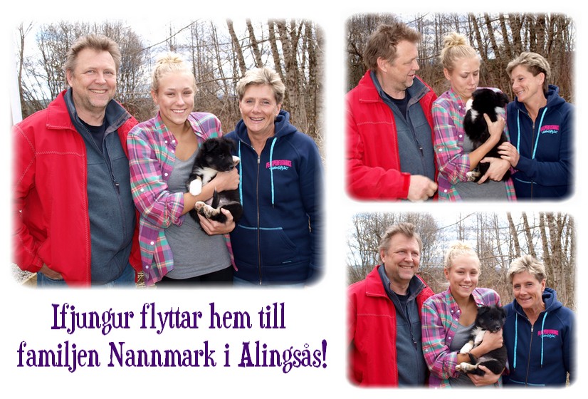 ifjungurflytt