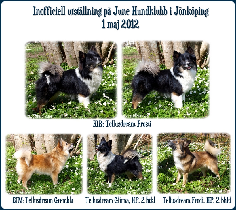 inofficiell utst jkp 1 maj 20121 inofficiell utst jkp 1 maj 20121