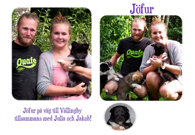 j&ouml;furflytt