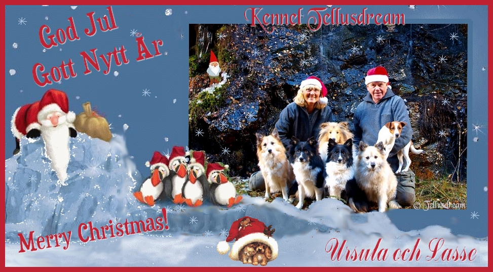 julkortfb20128