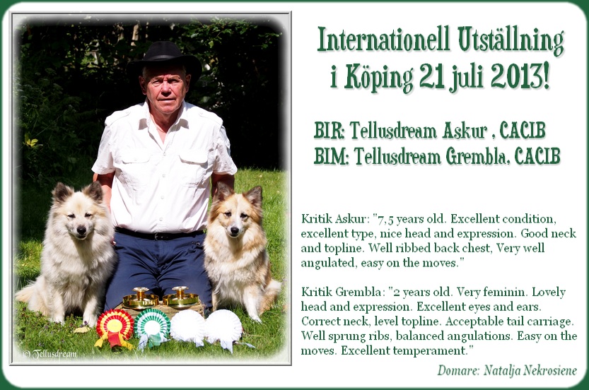 koping2013 koping2013