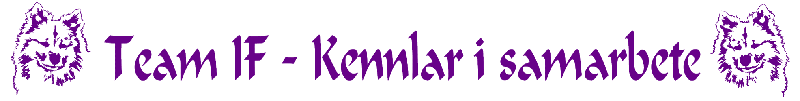 logga_teamif_calligraphic_