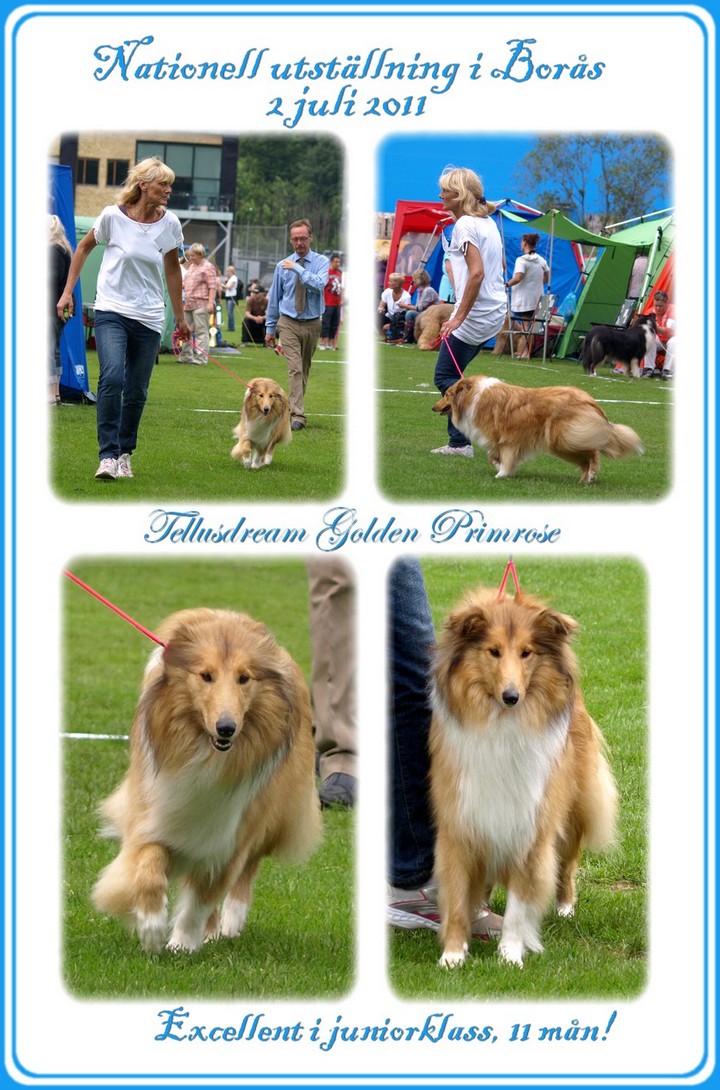 madicken110702 madicken110702