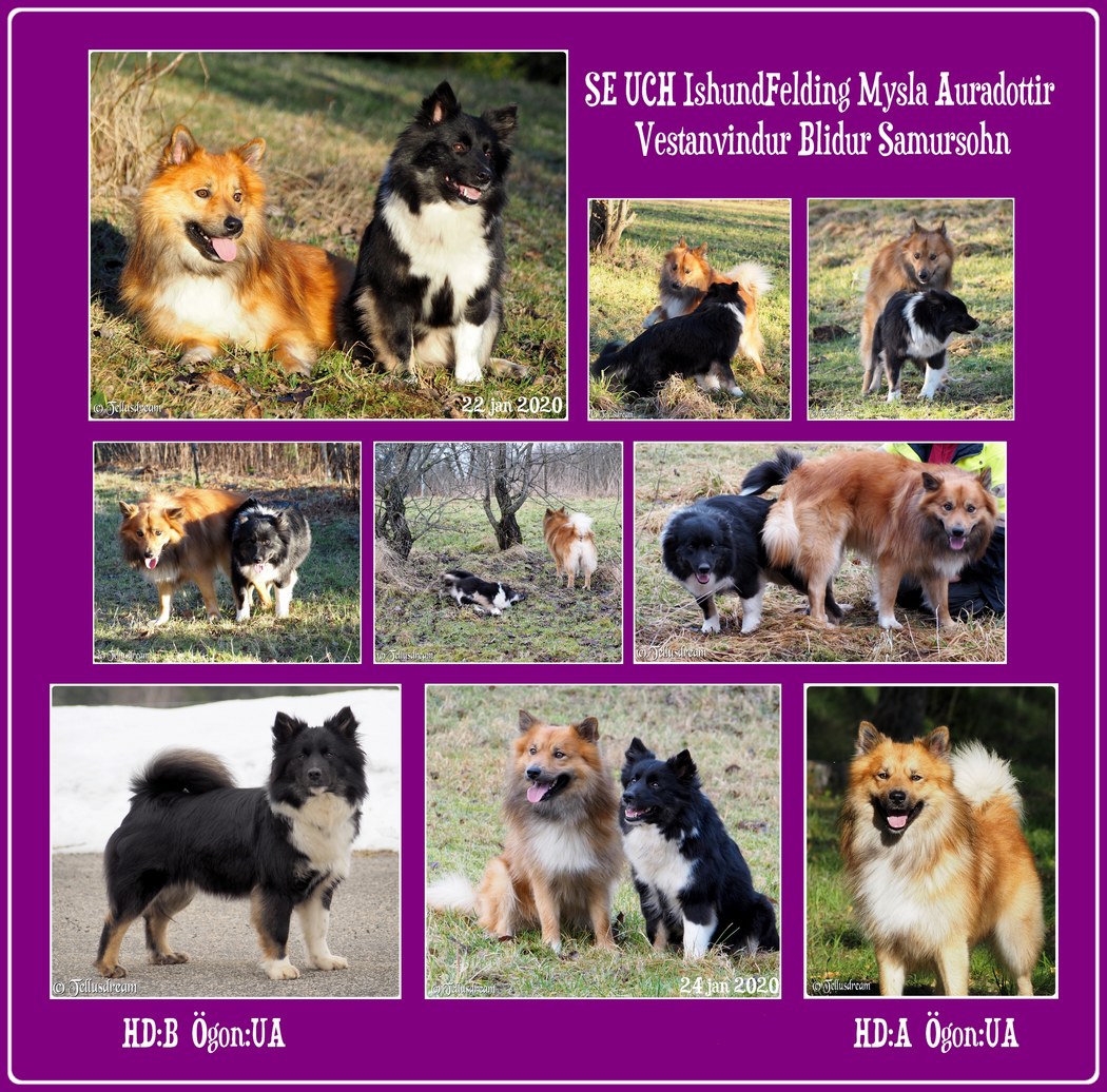 mysla_blidur_20_ mysla_blidur_20_