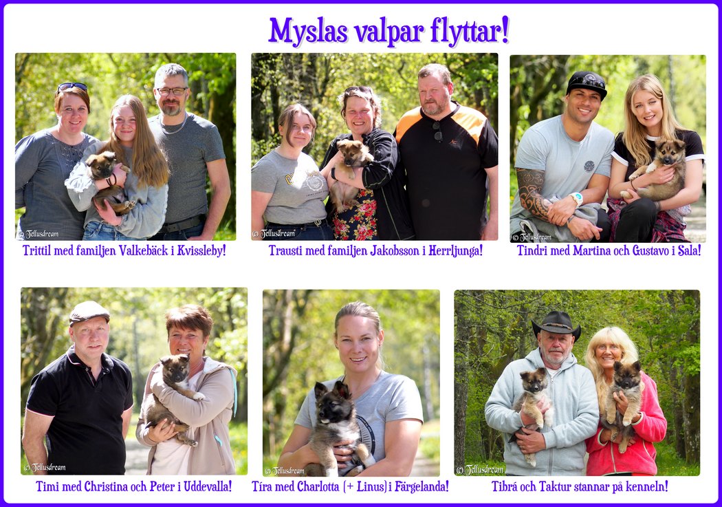 mysla_flytt_ mysla_flytt_