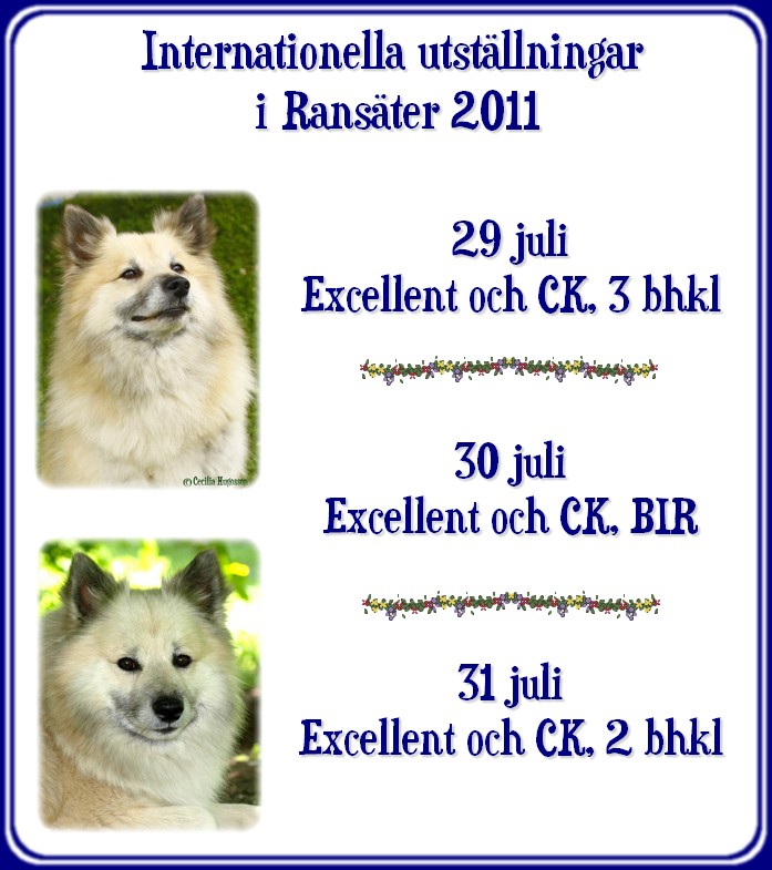 ransater2011 ransater2011