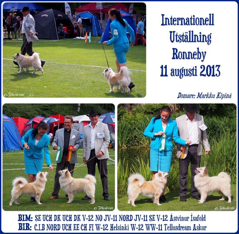 rby2013 rby2013