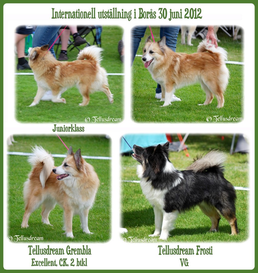 ryda2012 ryda2012