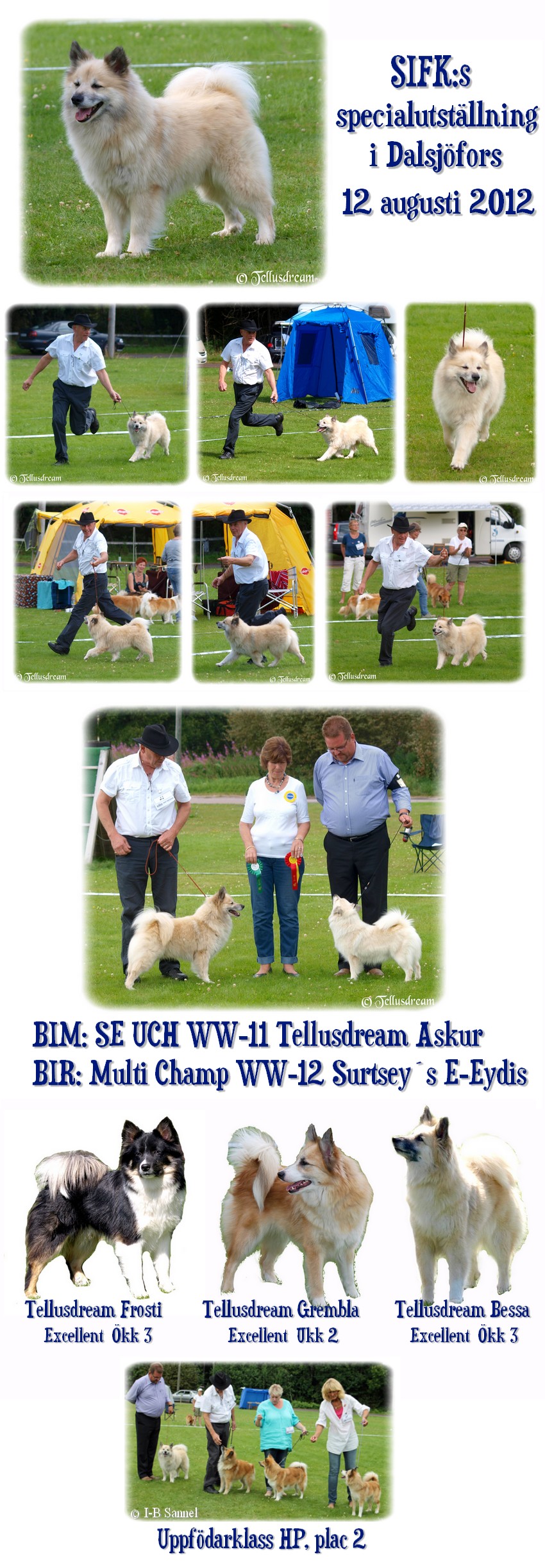sifkutst2012 sifkutst2012