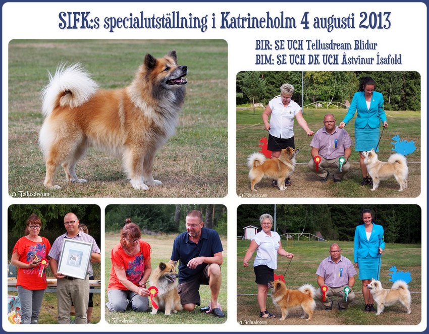 sifkutst2013 sifkutst2013