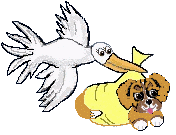 stork4