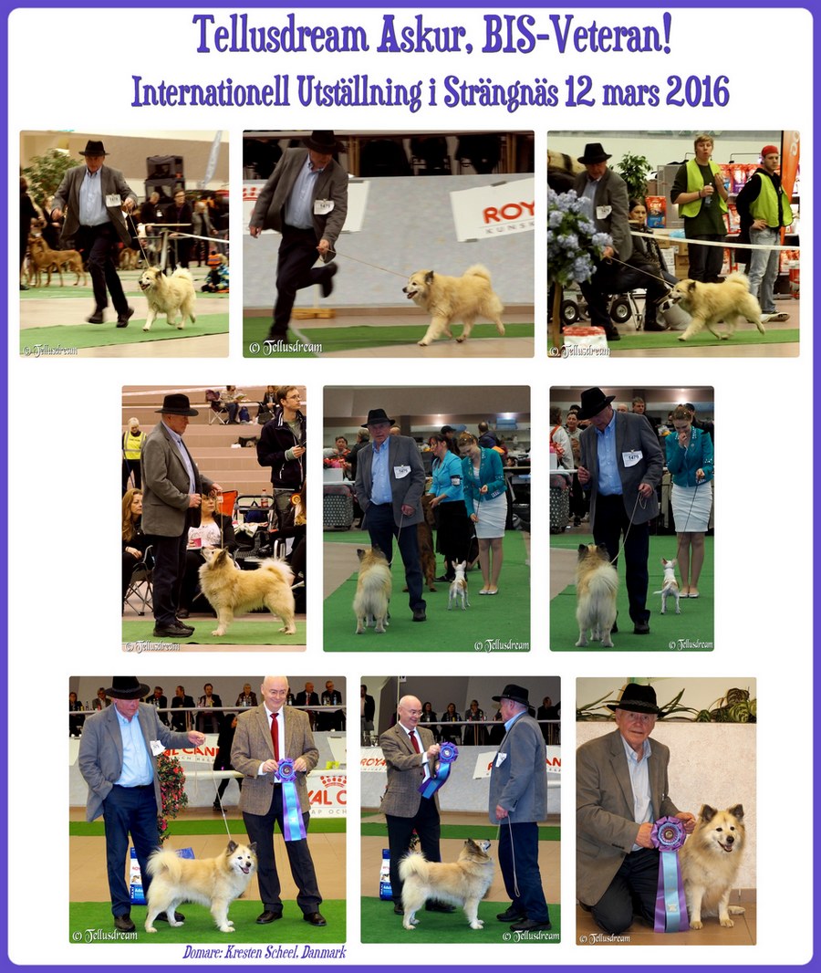 strangnas12mars2016_