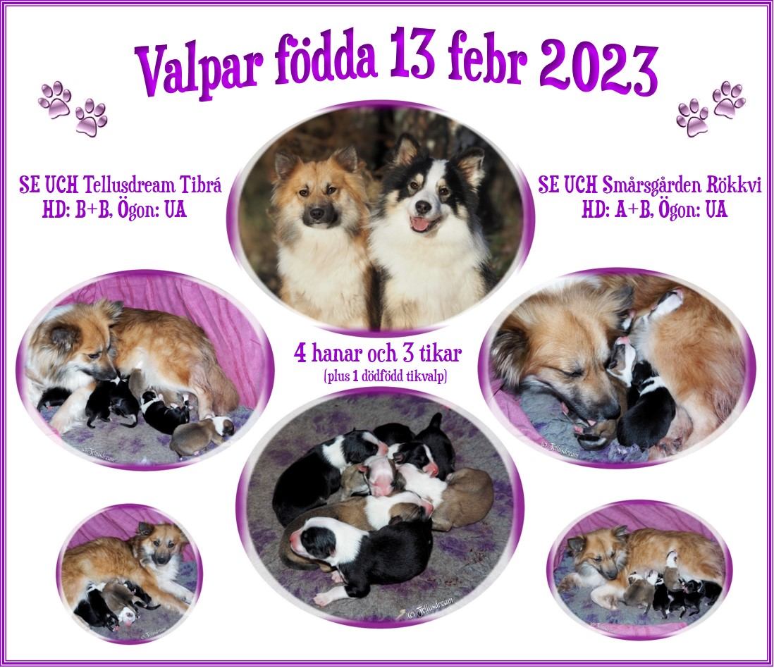 tibravalpar_2023