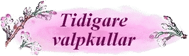 tidvalp