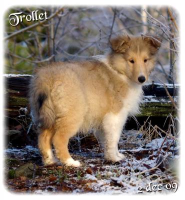 trollet091202.3