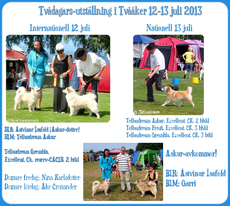 tvaaker2013 tvaaker2013