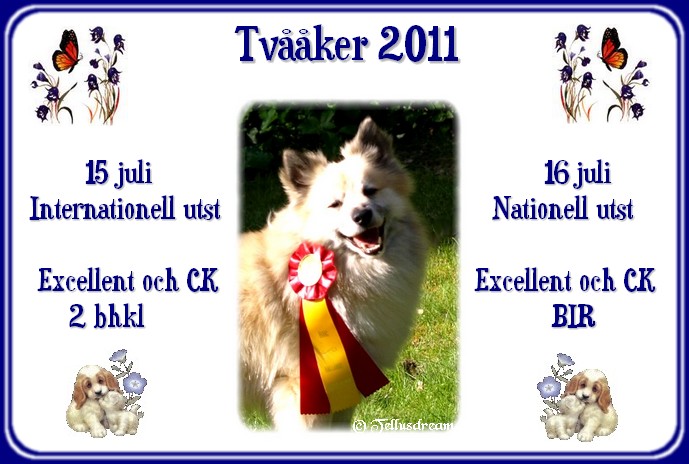 tvvaaker2011 tvvaaker2011