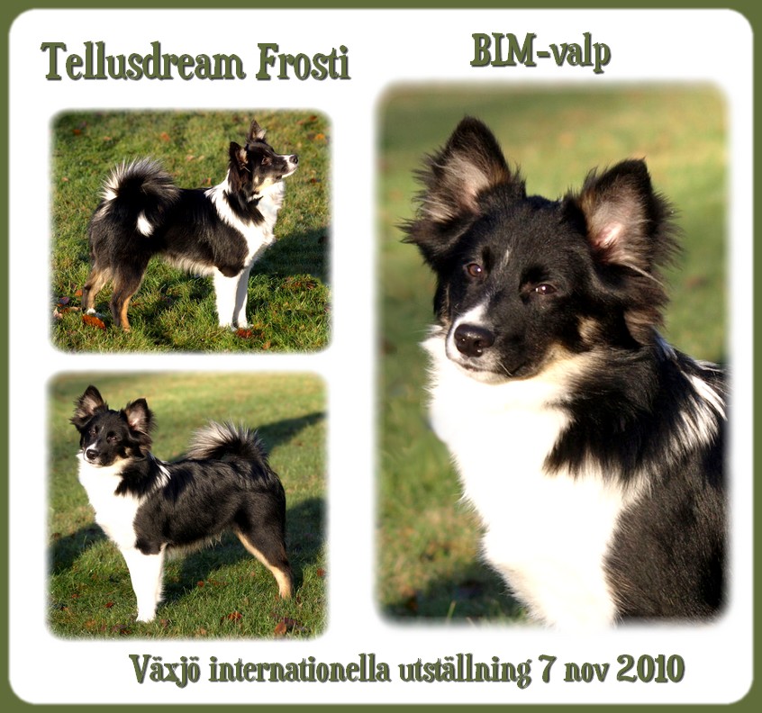 utstfrosti7nov2010 utstfrosti7nov2010