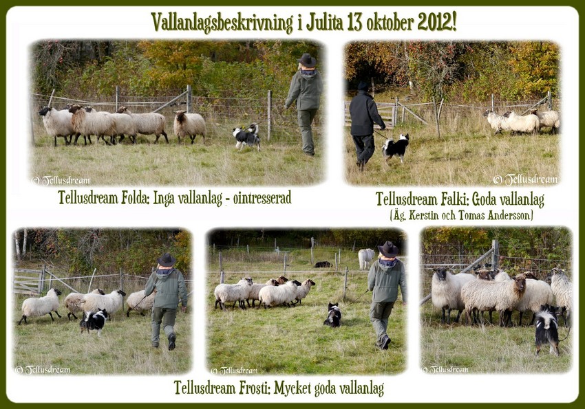 vall2012 vall2012