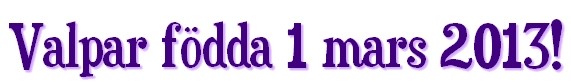 valpfo