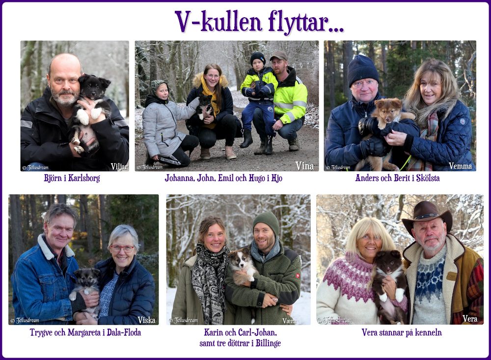 vkull_flytt vkull_flytt