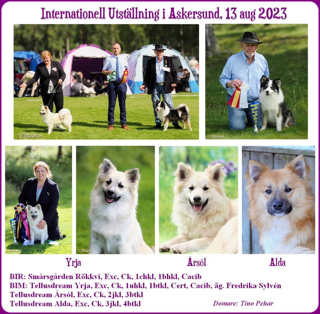 ask_2023