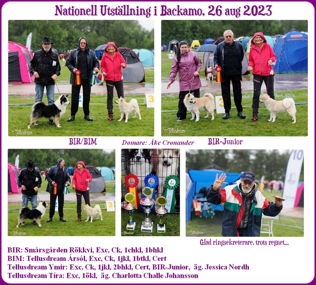 backamo_2023