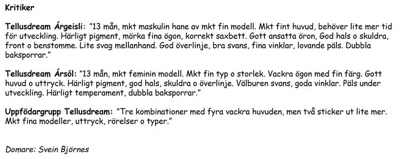 kritik_bor_2023